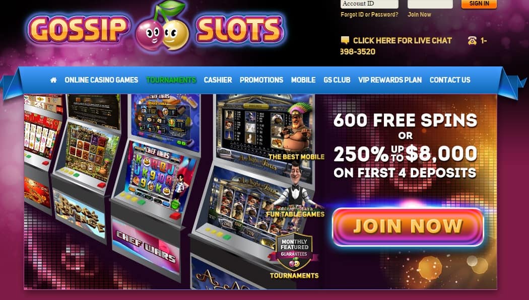 springbok casino no deposit bonus coupons