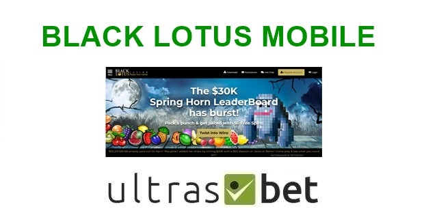 Black Lotus Casino Mobile Welcome page