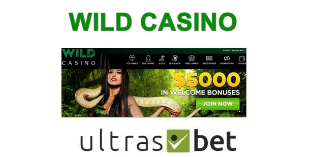 wild casino no deposit bonus